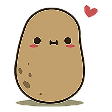 A Curious Potato