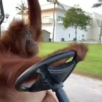 MonkE
