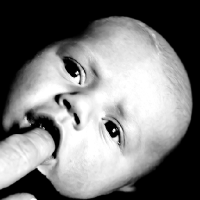 Gordito@photog.social