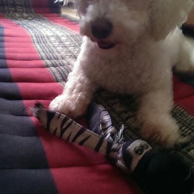 Robo105@mastodon.social