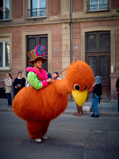 Carnaval de Strasbourg 2025
défilé d'oiseaux bizarres
