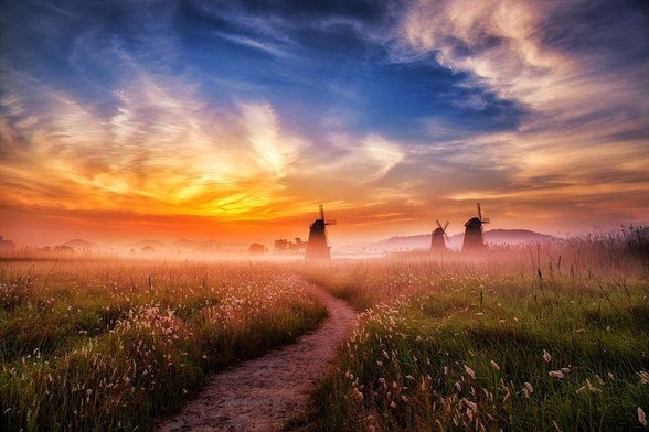A path winding across a field with wildflowers towards windmills blanketed by fog with golden clouds above.