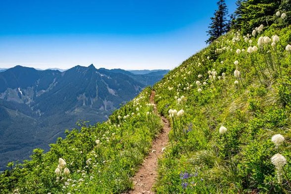Mountain Trail by peloblancophoto

(a narrow footpath on a slope carpeted with white flowers with a a view to mountains on the left)