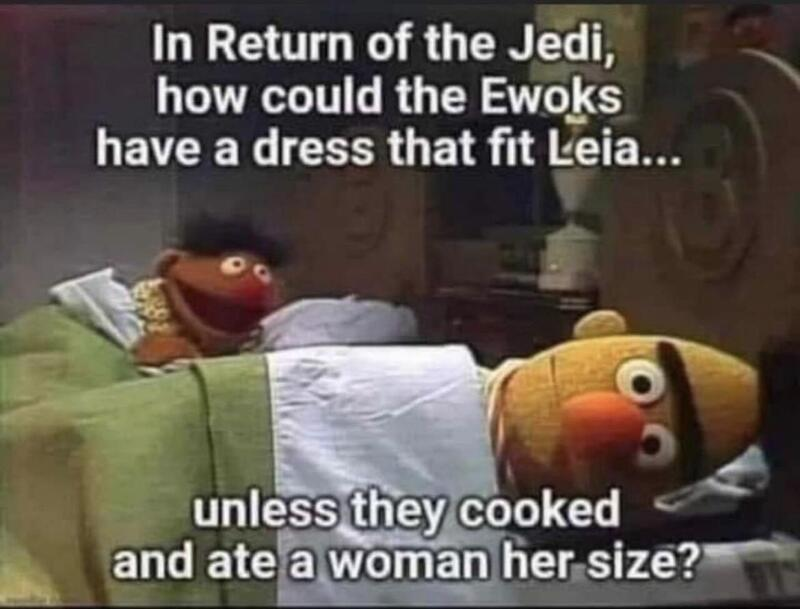 Ernie: *to Bert* In Return of the Jedi, how could the Ewoks have a dress that fit Leia...unless they cooked and ate a woman her size?