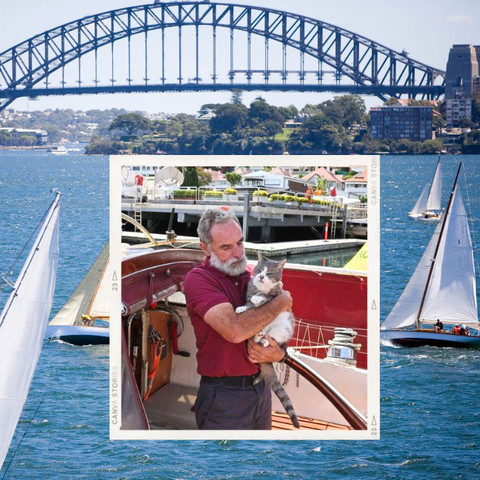 10-year-old moggy, Oli, a grey tabby-and-white is held in the arms of Skipper Bob Williams prior to race start in Sydney Harbour, with the white sails of yachts under the Harbour Bridge seen in the background.