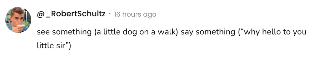 A social post from @_RobertSchultz that saysL
see something (a little dog on a walk) say something ("why hello to you little sir")