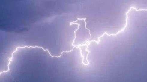 Lightning forms an image reminiscent of a bird on a wire.